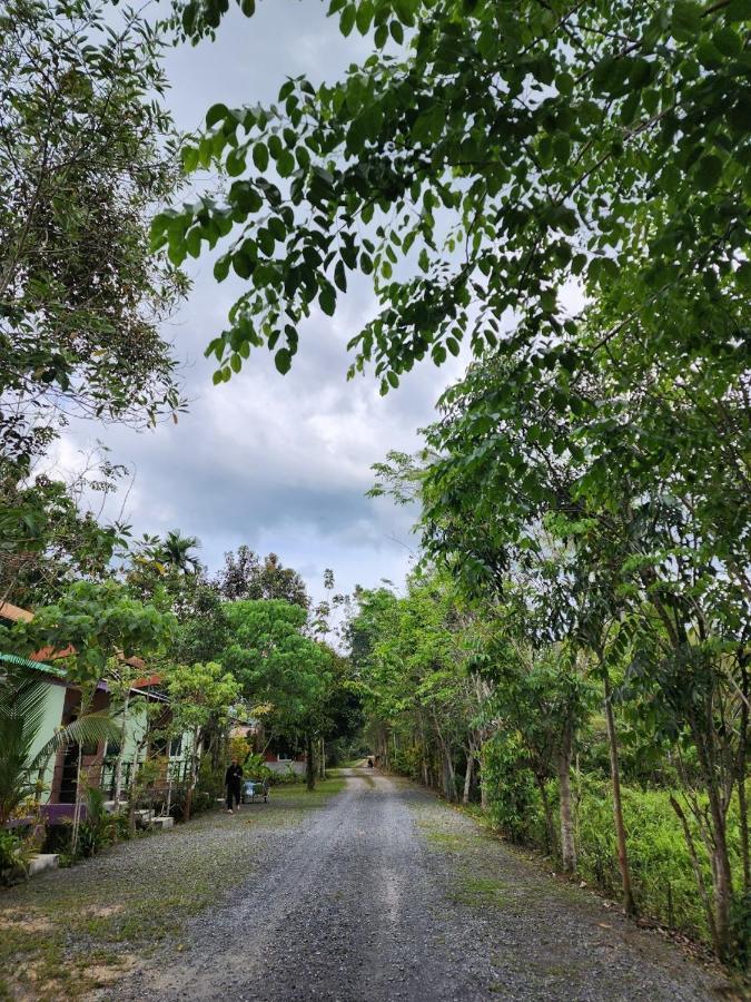 Suankafae Resort สวนกาแฟรีสอร์ท Surat Thani Exterior photo