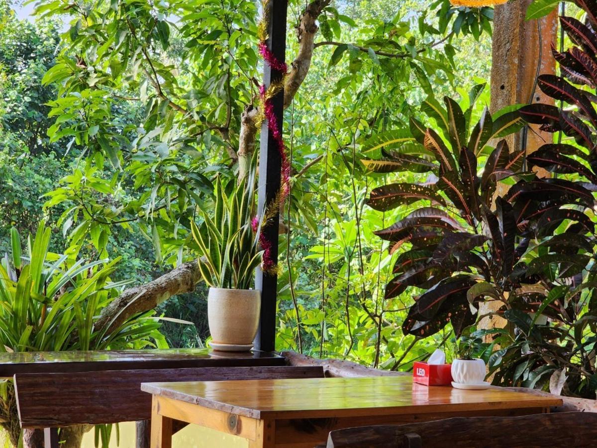 Suankafae Resort สวนกาแฟรีสอร์ท Surat Thani Exterior photo