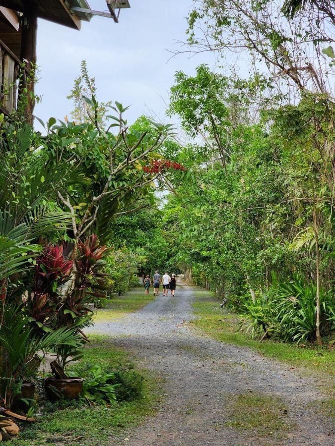 Suankafae Resort สวนกาแฟรีสอร์ท Surat Thani Exterior photo